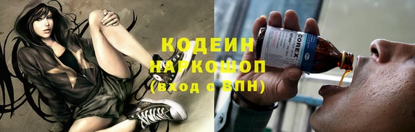 эйфоретик Бородино