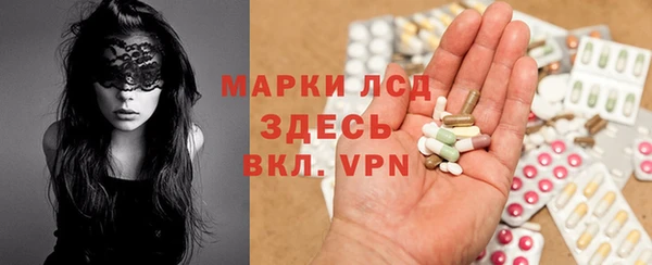 эйфоретик Бородино