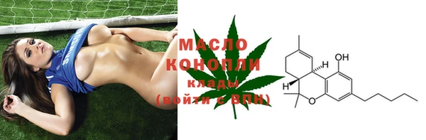 эйфоретик Бородино