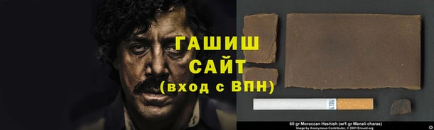 эйфоретик Бородино
