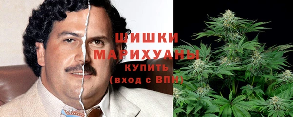 дурь Бронницы