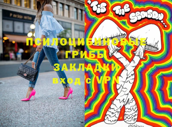 дурь Бронницы