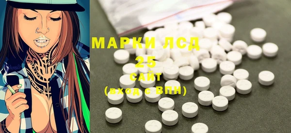 эйфоретик Бородино
