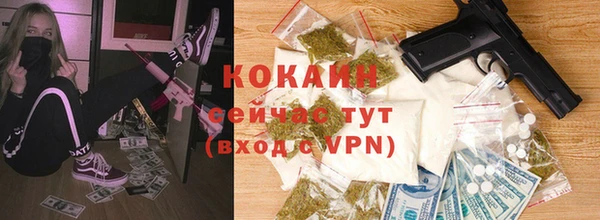дурь Бронницы